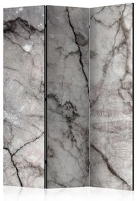 Paravento Grey Marble [Room Dividers]