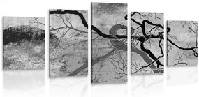 Quadri 5 pezzi – Alberi surrealisti in bianco e nero