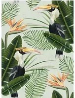 Mindthegap Carta da parati Birds of Paradise - WP20092