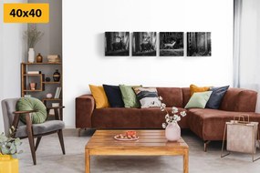 Set di quadri – Animali del bosco in bianco e nero