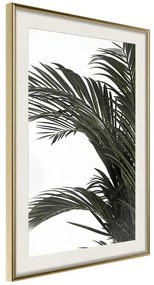 Poster  Jungle Scent  Cornice Quadri Cornice d'oro con passe-partout, Larghezza x Altezza Home decor 20x30