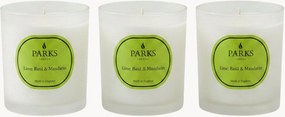 Set di 3 candele profumate fatte a mano Vintage Aromatherapy (lime, basilico e mandarino)