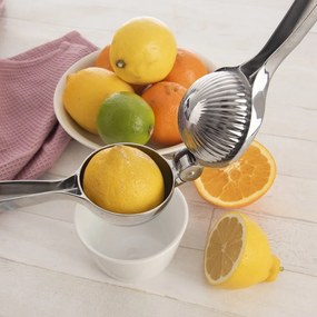 Spremi agrumi in metallo - Orion