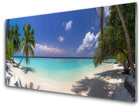 Quadro in vetro Spiaggia di mare Palm Landscape 100x50 cm