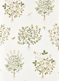 Sanderson Carta da parati Thyme Walk - Lichen & Gooseberry