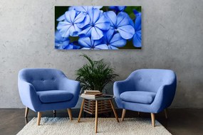 Stampa su tela – Fiori blu pittoreschi