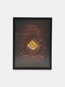 Sinsay - Poster Harry Potter - nero