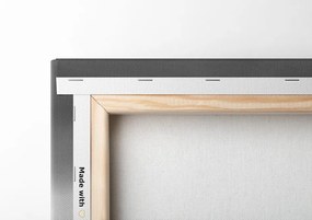 Stampa su tela – Equilibrio di pietre e farfalla in bianco e nero