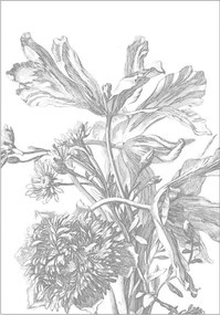Carta da parati Engraved Flowers
