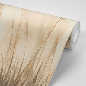 Carta da parati – Piante secche in beige