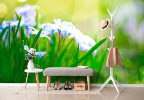 Carta da parati – Fiori sul prato in primavera