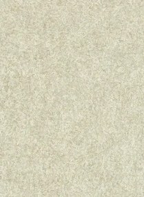 Lederoptik Tapete Shagreen von Zoffany - Platinum Grey