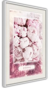 Poster  Scent of Peonies  Cornice Quadri Cornice nera con pass-partout, Larghezza x Altezza Home decor 20x30