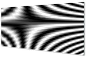 Quadro in vetro acrilico Strisce zebra 100x50 cm