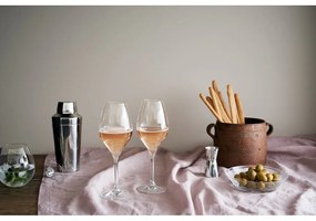Set di 2 bicchieri da spumante da 370 ml Premium - Rosendahl