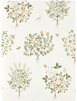 Sanderson Carta da parati Thyme Walk - Lichen & Gooseberry