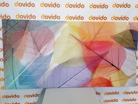 Stampa su tela – Venature su foglie colorate