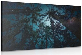 Quadro su tela – Notte nella foresta