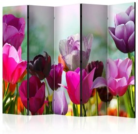 Paravento Beautiful Tulips II [Room Dividers]