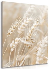 Quadro su tela – Steli di grano