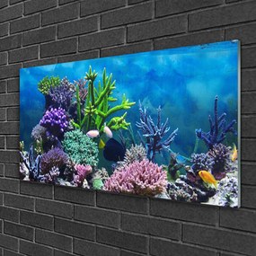 Quadro vetro Acquario di pesci sott'acqua 100x50 cm