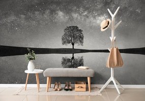Fotomurale – Cielo stellato in bianco e nero sopra l'albero solitario