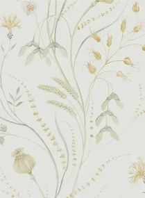 Sanderson Carta da parati Summer Harvest - Silver/ Corn