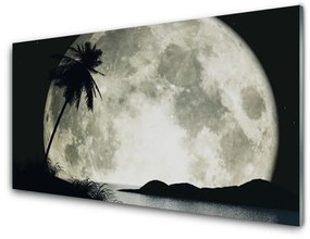 Quadro vetro acrilico Paesaggio delle palme della luna notturna 100x50 cm