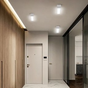 Immax NEO 07257L - Lampada LED dimmerabile LUNGO 20W/230V Wi-Fi Tuya bianco + DO