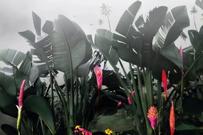 Carta da parati autoadesiva – Natura morta con foglie