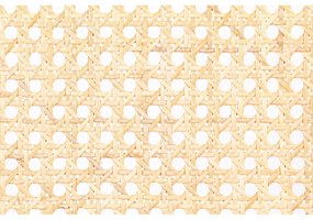 Sedia da pranzo in rattan grigio Spike - Zuiver