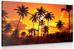 Quadro su tela – Palme di cocco sulla spiaggia