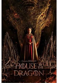 House Of The Dragon  Poster TA9816  House Of The Dragon