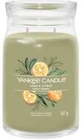 Sage e Citrus, candela giara grande Yankee Candle
