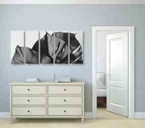 Quadri 5 pezzi – Foglia di monstera in bianco e nero