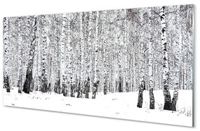 Quadro vetro Alberi betulle invernali 100x50 cm