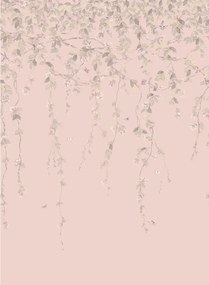 Cole & Son Carta da parati Hummingbirds Flora - Stone on Rose Quartz