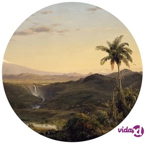 WallArt Carta da Parati Circolare The Americas 142,5 cm