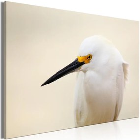 Quadro Snowy Egret (1 Part) Wide