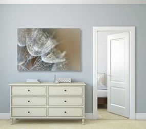 Quadro su tela – Macro soffione su sfondo