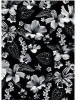Jean Paul Gaultier Carta da parati Cariacou - Noir
