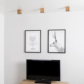 Spot-Light 2076174 - Plafoniera WOODDREAM 1xGU10/6W/230V