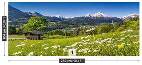 Carta da parati Montagne della Baviera 104x70 cm