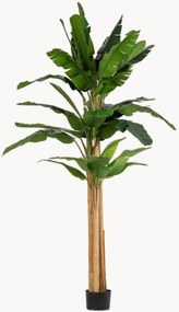 Pianta artificiale Banana