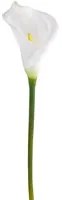 Set 8 Fiori Artificiali di Calla Semi Aperta Altezza 66 cm Bianco