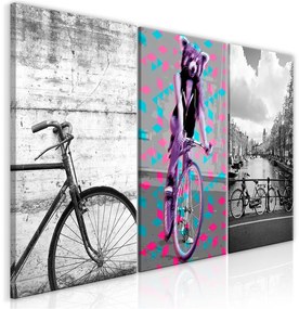 Quadro  Bikes (Collection)  Colore Rosa, Dimensioni e Misure 120x60