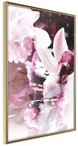 Poster  Flowers on the Water  Cornice Quadri Cornice d'oro, Larghezza x Altezza Home decor 20x30