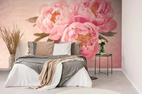 Carta da parati – Peonia delicata