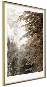 Poster  Pond in the Park  Cornice Quadri Cornice d'oro, Larghezza x Altezza Home decor 40x60