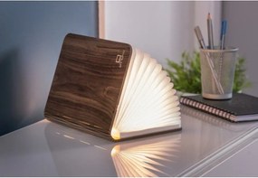 Decorazione luminosa marrone con ricarica USB Booklight – Gingko